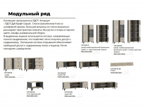 Гостиная Отис Дуб Крафт Серый/Антрацит в Касли - kasli.magazinmebel.ru | фото - изображение 5