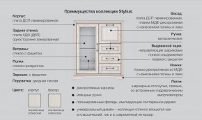 Прихожая модульная Стилиус в Касли - kasli.magazinmebel.ru | фото - изображение 2