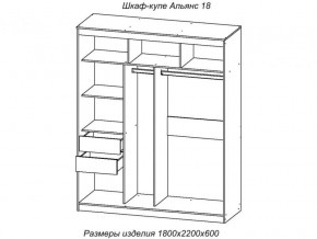 Шкаф-купе Альянс 18 комплект зеркал №4 в Касли - kasli.magazinmebel.ru | фото - изображение 2